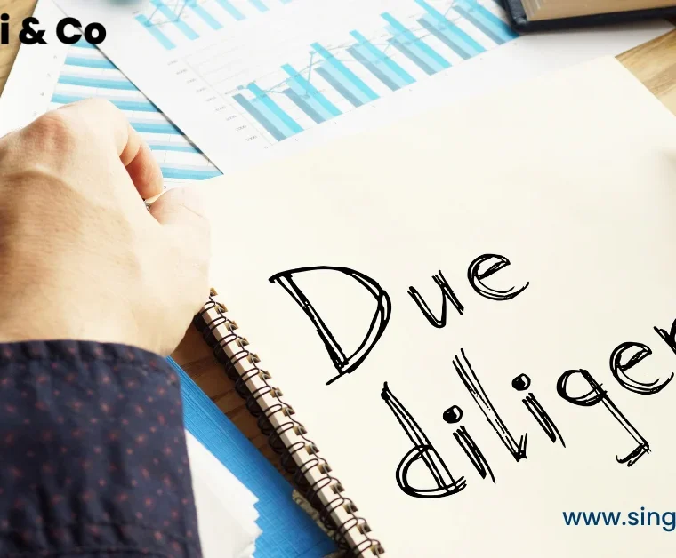 Due Diligence & Due Diligence Area & Process