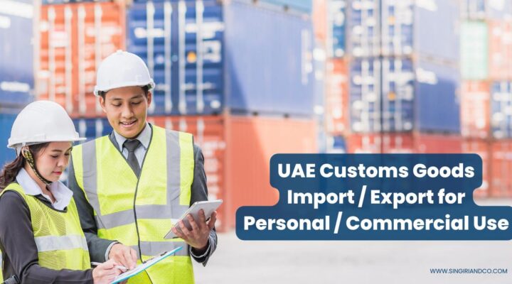 UAE Customs Goods Import Export for Personal Commercial Use