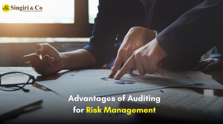 Advantages of Auditing for Risk Management