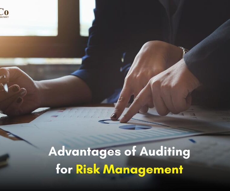 Advantages of Auditing for Risk Management