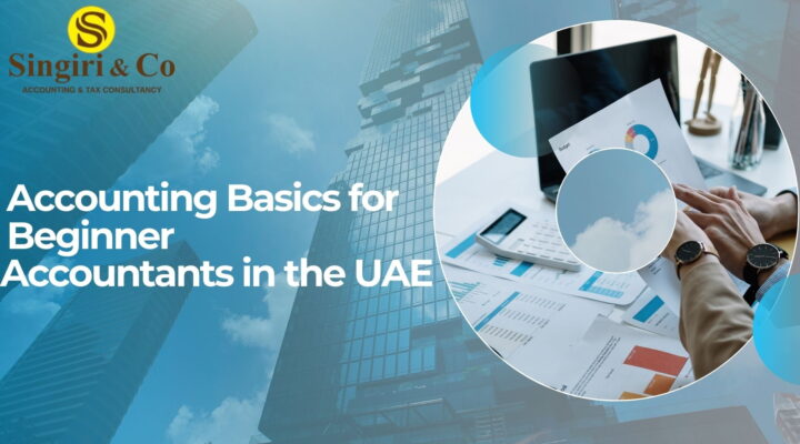 Accounting Basics for Beginner