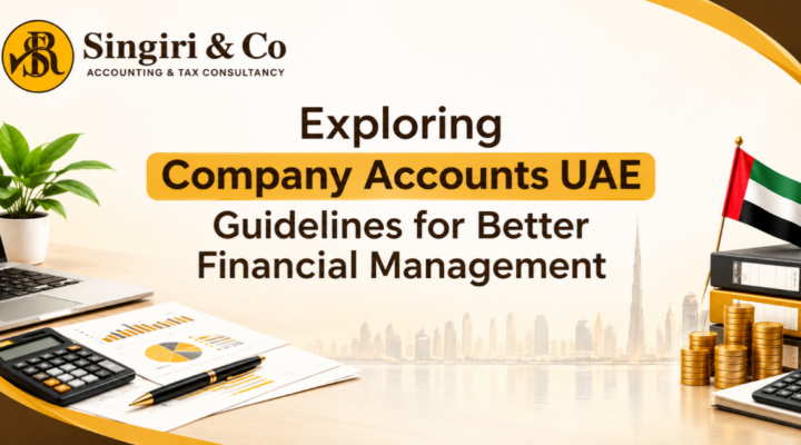 Business Records UAE Guidelines Explained Clearly for accurate financial documentation, recordkeeping, reporting, and compliance.