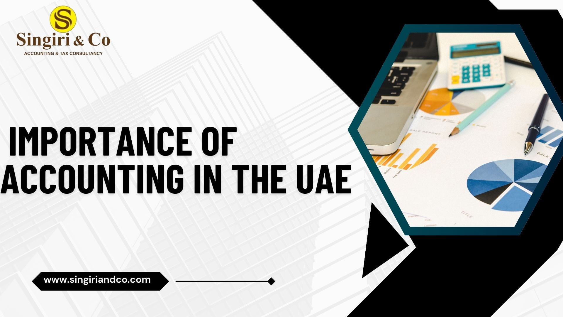 Importance of Accounting in the UAE
