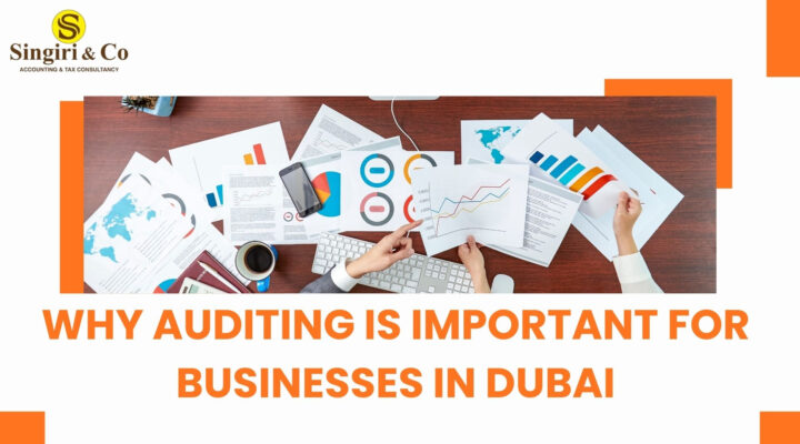 Why Auditing is Important for Businesses in Dubai