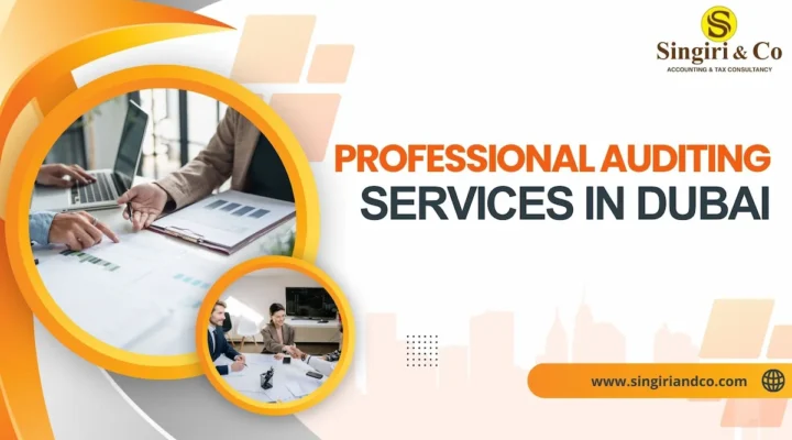 Why Hire Professional Auditing Services in Dubai