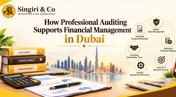 Role of Professional Auditing in Dubai Businesses for financial accuracy, compliance, reporting, and stronger internal controls