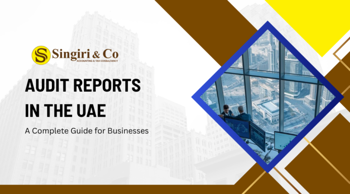 Audit reports in the UAE with financial statements, compliance data, and detailed analysis for business accuracy and transparency