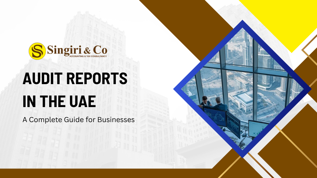 Audit reports in the UAE with financial statements, compliance data, and detailed analysis for business accuracy and transparency
