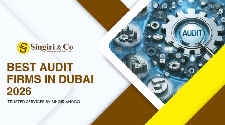 Best Audit Firms in Dubai 2026 offering VAT consultancy, tax compliance, financial reporting and professional business audit services.