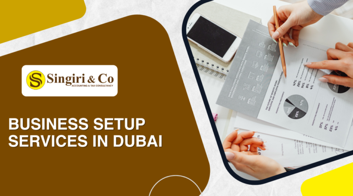 Business Setup Services in Dubai helping entrepreneurs with company formation, trade licenses, VAT registration, and Corporate Tax compliance.