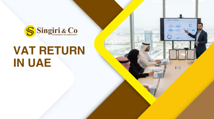 VAT Return in UAE guide showing VAT filing process, FTA compliance requirements, tax deadlines, VAT calculations, and business tax reporting.