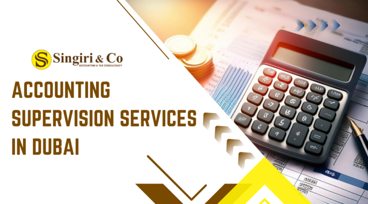 Professional Accounting Supervision Services in Dubai ensuring accurate bookkeeping, financial compliance, VAT support, and expert financial oversight