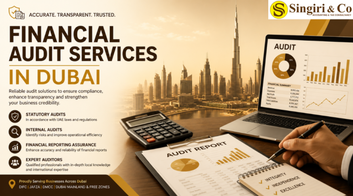 Financial Audit Services in Dubai by Singiri & Co. for accurate financial reporting and business compliance