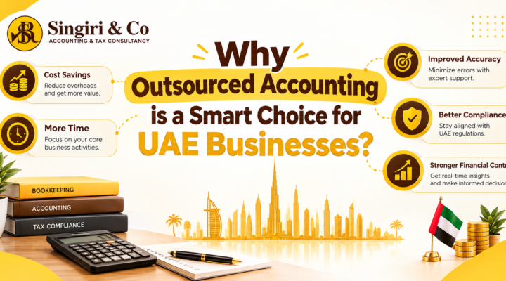 Monthly accounting reports for businesses in UAE, including profit and loss, balance sheet, cash flow, VAT, receivables, and payables reports.